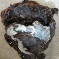 Prowool Insulation HortiFleece™ Raw Sheep's Wool For Horticulture - 2.5KG