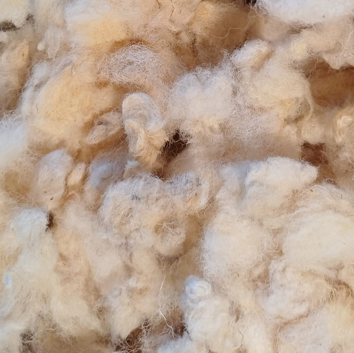 Natural Sheep's Wool Loft Insulation 5KG Bag - Prowool Insulation