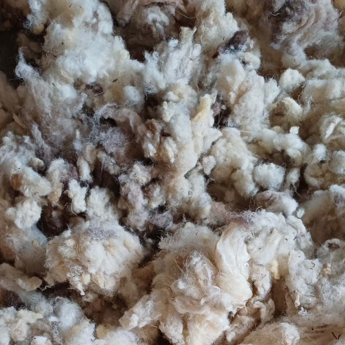 Natural Sheep's Wool Loft Insulation 5KG Bag - Prowool Insulation