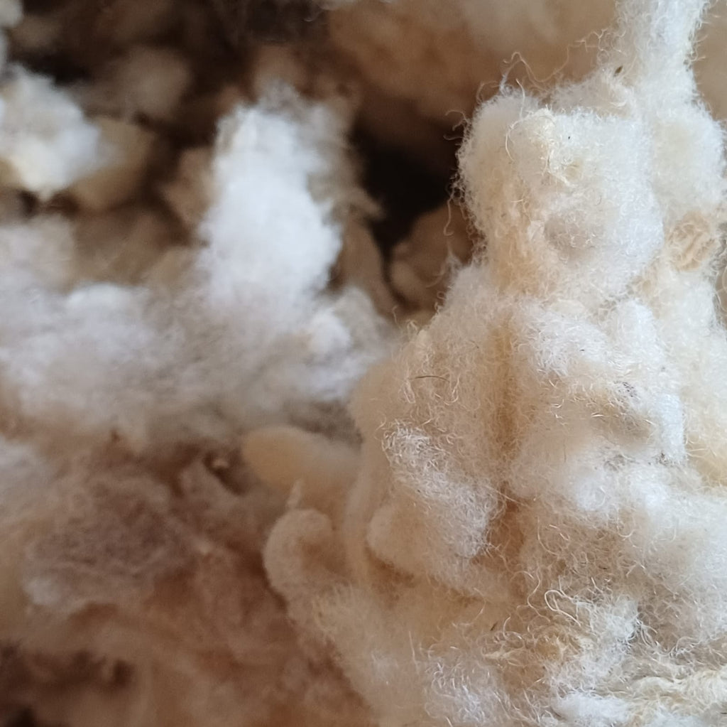 Natural Timber Frame Sheep's Wool Insulation 5kg Bag - Prowool Insulation