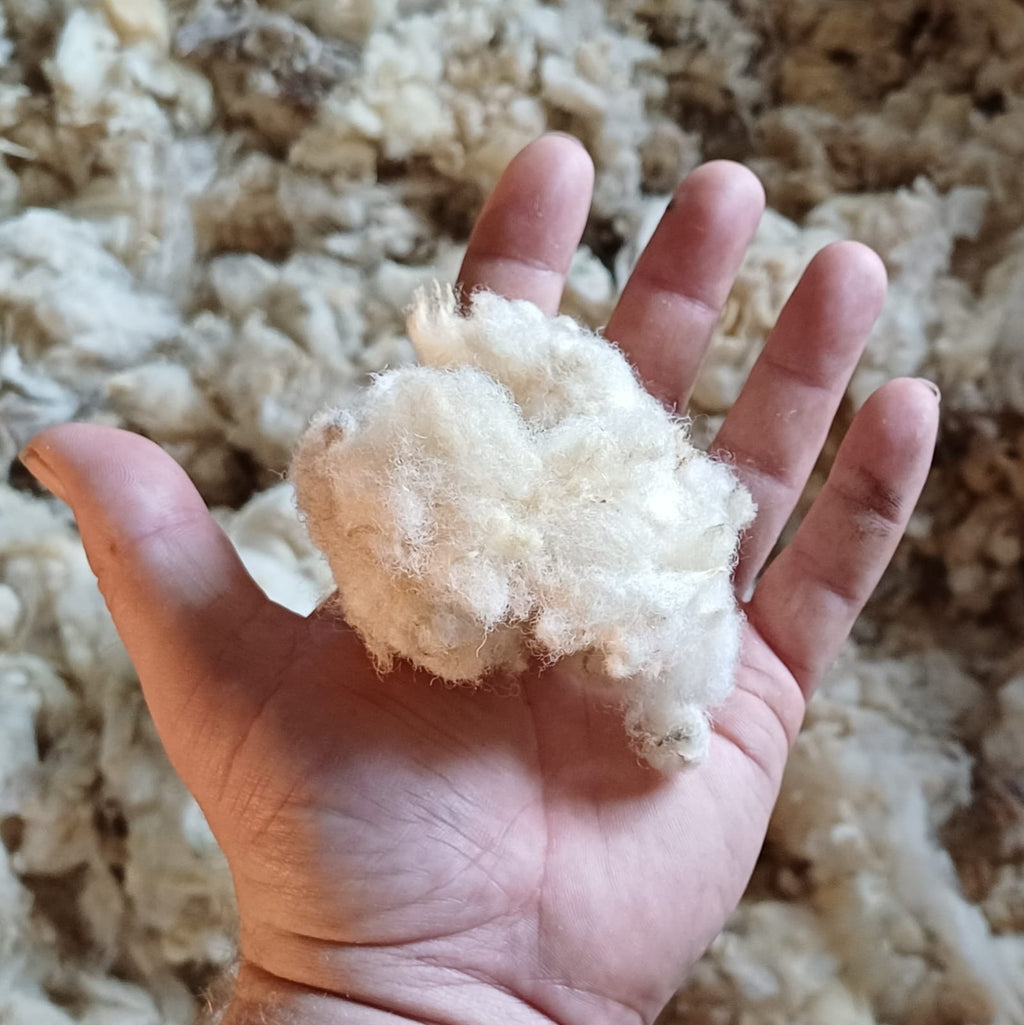 Natural Timber Frame Sheep's Wool Insulation 5kg Bag - Prowool Insulation