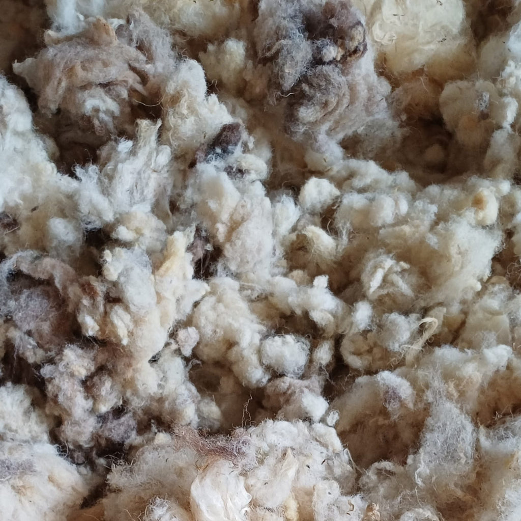 Natural Timber Frame Sheep's Wool Insulation 5kg Bag - Prowool Insulation