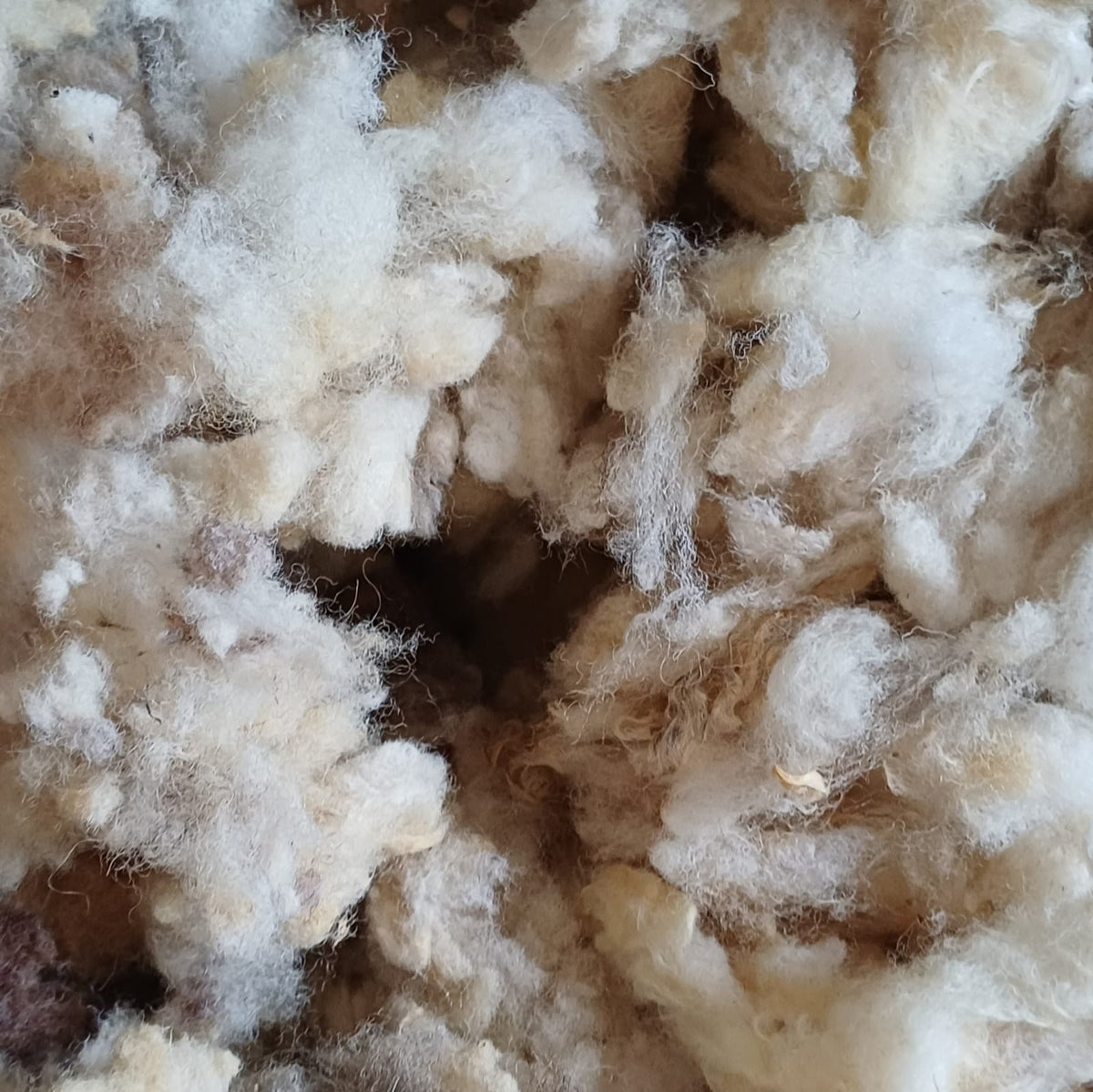 Ultimate Campervan Natural Sheep's Wool Insulation Kit - Prowool Insulation