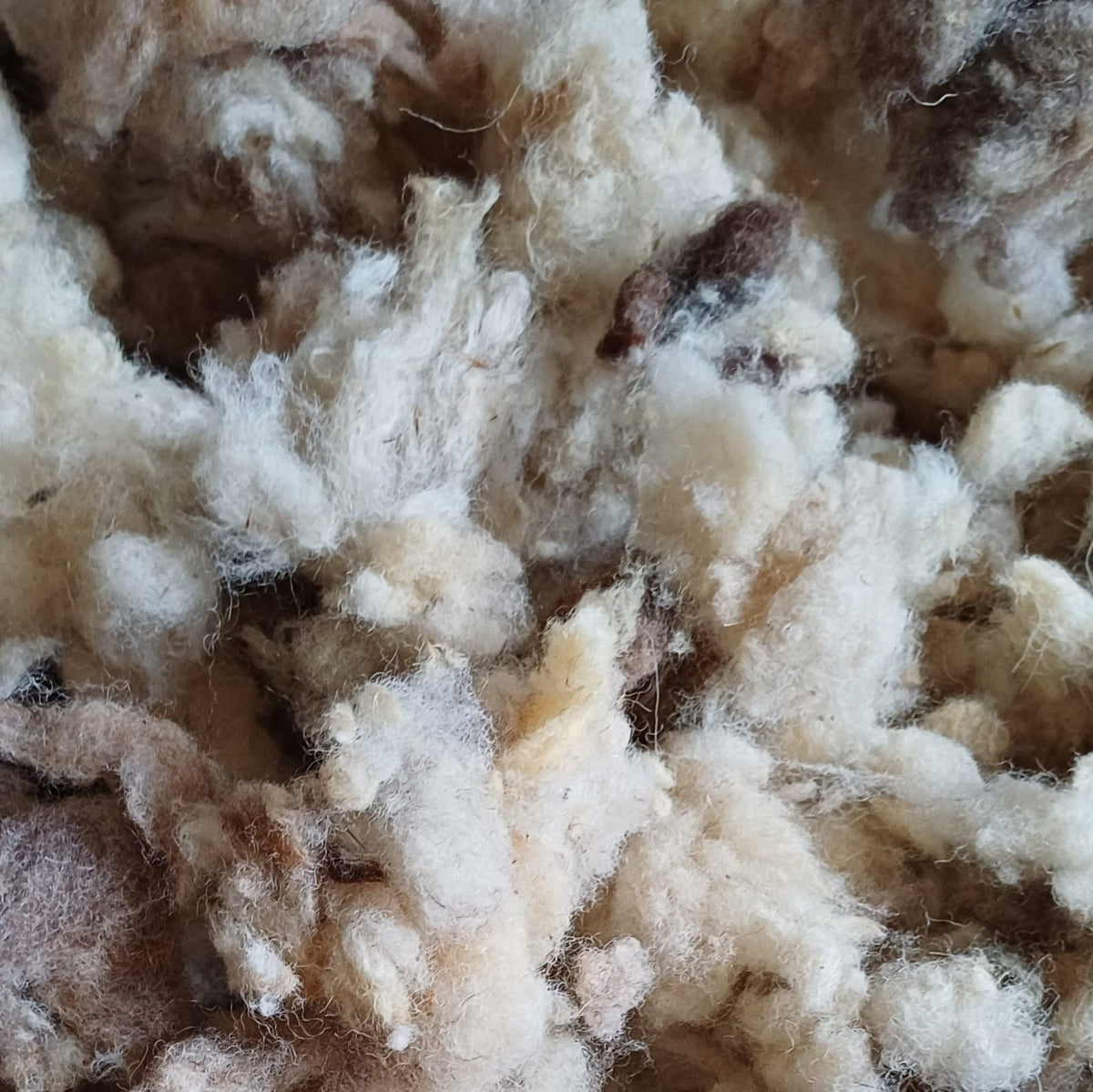 Ultimate Campervan Natural Sheep's Wool Insulation Kit - Prowool Insulation