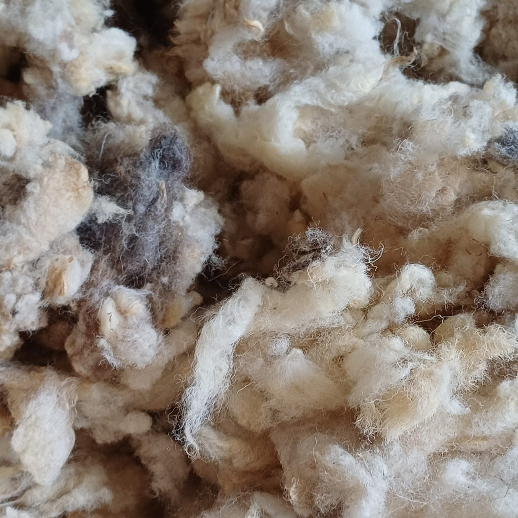 Ultimate Campervan Natural Sheep's Wool Insulation Kit - Prowool Insulation